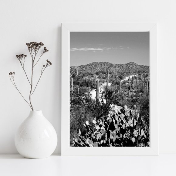 Contemporary Black & White Desert Road Landscape 8x10 Photo Art Print - Picture 1 of 6